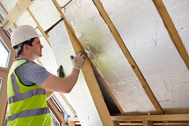 Best Insulation Maintenance and Repair in Troy, MI